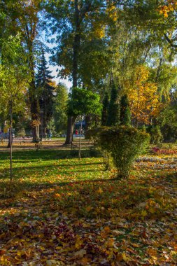Taras Şevçenko Park (yeşil bina) Taras Şevçenko Üniversitesi, sokakta olan Kiev, ana binadan karşısında yer alır. Vladimirski Kiev şehir. 