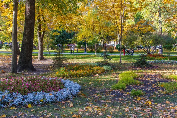 Taras Ševčenko Park Green Building Nachází Hlavní Budova Tarase Shevchenko — Stock fotografie