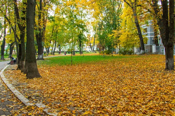 Mariinsky Park (önceki adı: Palace, Aleksandrovsky, devrim, Sovyetler kurbanları)-Kiev, bir parkta bulunan binanın Yüksek Konseyi ve Mikhail Hrushevsky Caddesi ve Parkw için yamaç arasında Mariinsky Sarayı karşısında