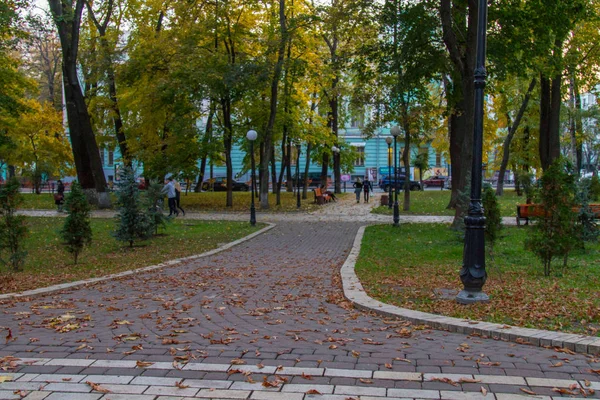 マリイン スキー公園 旧社名 Aleksandrovsky ソビエト革命の犠牲者 キエフで公園が最高評議会とミハイル Hrushevsky 通りと Parkw に斜面の間マリイン — ストック写真