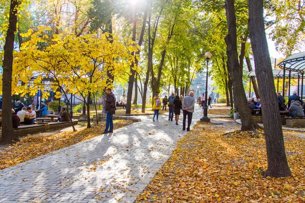 Taras Shevchenko Park Green Building Located Main Building Taras Shevchenko — Stock Photo, Image