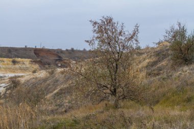 Tavrian bozkır korkunç frosts önce sıcak sonbahar son günlerinde. Zaporizhia bölgesi, Ukrayna. Kasım 2018