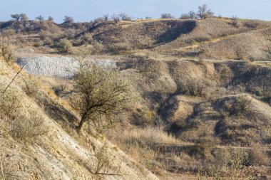 Tavrian bozkır korkunç frosts önce sıcak sonbahar son günlerinde. Zaporizhia bölgesi, Ukrayna. Kasım 2018