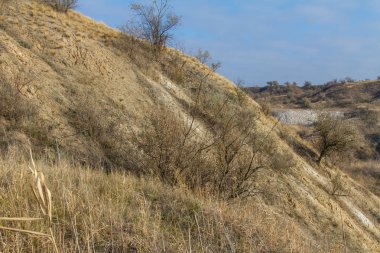 Tavrian bozkır korkunç frosts önce sıcak sonbahar son günlerinde. Zaporizhia bölgesi, Ukrayna. Kasım 2018