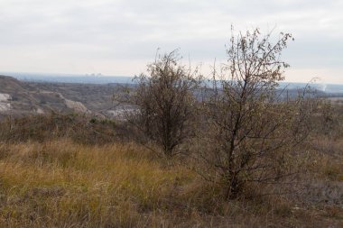Tavrian bozkır korkunç frosts önce sıcak sonbahar son günlerinde. Zaporizhia bölgesi, Ukrayna. Kasım 2018