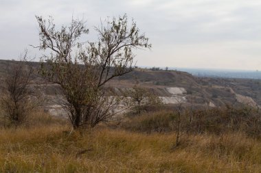 Tavrian bozkır korkunç frosts önce sıcak sonbahar son günlerinde. Zaporizhia bölgesi, Ukrayna. Kasım 2018