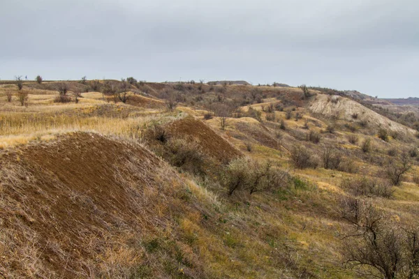 Laatste Dagen Van Warme Herfst Vóór Vreselijke Vorst Tavrian Steppe — Stockfoto