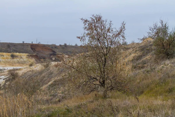 Tavrian bozkır korkunç frosts önce sıcak sonbahar son günlerinde. Zaporizhia bölgesi, Ukrayna. Kasım 2018