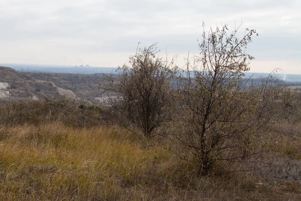 Tavrian bozkır korkunç frosts önce sıcak sonbahar son günlerinde. Zaporizhia bölgesi, Ukrayna. Kasım 2018