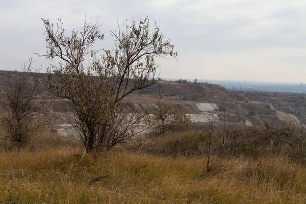 Tavrian bozkır korkunç frosts önce sıcak sonbahar son günlerinde. Zaporizhia bölgesi, Ukrayna. Kasım 2018