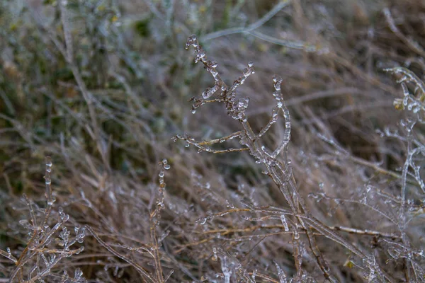 Steppe Tavrienne Couverte Glace Région Zaporozhye Ukraine Décembre 2018 Photos De Stock Libres De Droits