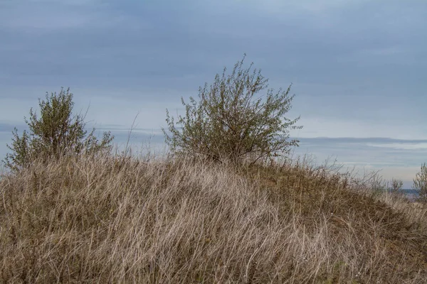 Autunno Steppa Tavrian Regione Zaporizhia Ucraina Novembre 2018 — Foto Stock