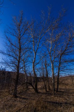 Sabah kış snowless manzara