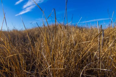 Sabah kış snowless manzara