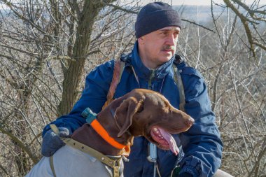 Deutsch kurzhaar, bir av köpeği