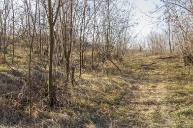 Kış Tavrian bozkır