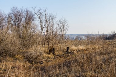 Kış Tavrian bozkır