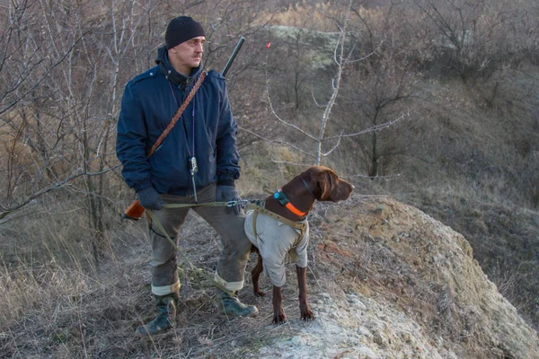 Deutsch kurzhaar, bir av köpeği