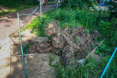 Kharkiv devlet Zoolojik Park