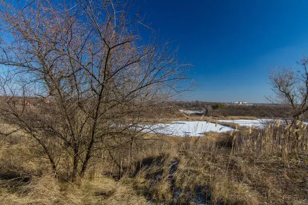 Morning winter snowless landscape — Stock Photo, Image