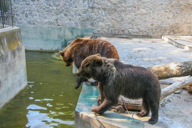 Kharkiv devlet Zoolojik Park