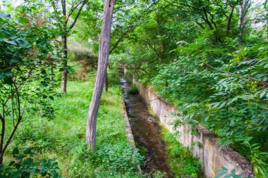 Kurortnoye-kentsel yerleşim