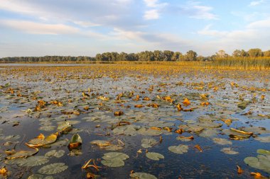 Dinyeper Nehri'nde gün batımı
