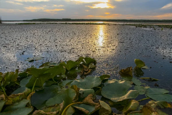 Puesta de sol en el río Dniéper — Foto de Stock