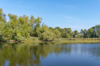 Dinyeper Nehri 'ni sel basıyor.