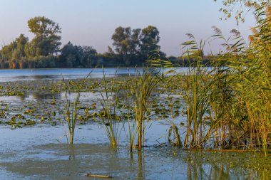 Dinyeper Nehri 'ni sel basıyor.