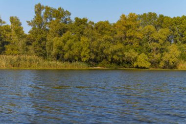Dinyeper Nehri 'ni sel basıyor.