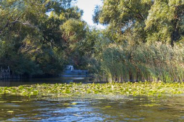 Dinyeper Nehri 'ni sel basıyor.