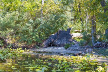Kushugum 'da teknedeki balıkçılar.