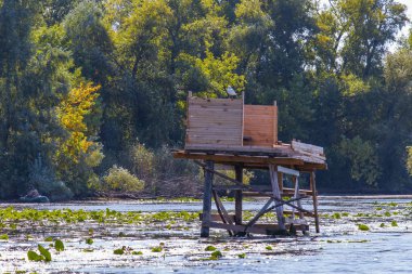 Dengeli balıkçılık noktaları