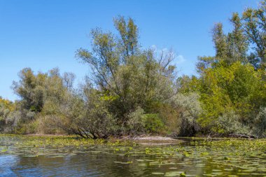 Dinyeper Nehri 'ni sel basıyor.