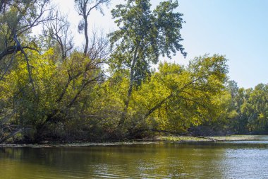 Dinyeper Nehri 'ni sel basıyor.