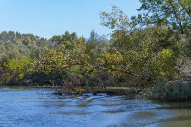 Dinyeper Nehri 'ni sel basıyor.