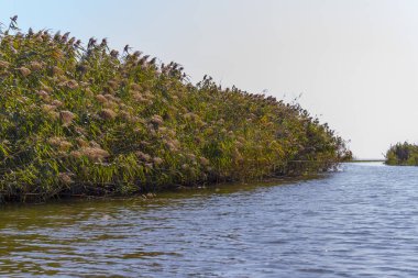 Dinyeper Nehri 'ni sel basıyor.