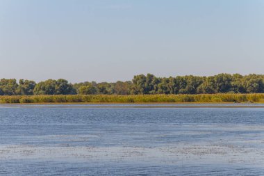 Dinyeper Nehri 'ni sel basıyor.