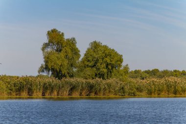 Dinyeper Nehri 'ni sel basıyor.