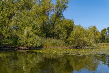 Dinyeper Nehri 'ni sel basıyor.