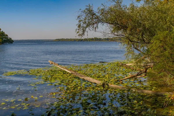 Djupare översvämningar vid floden Dnepr — Stockfoto