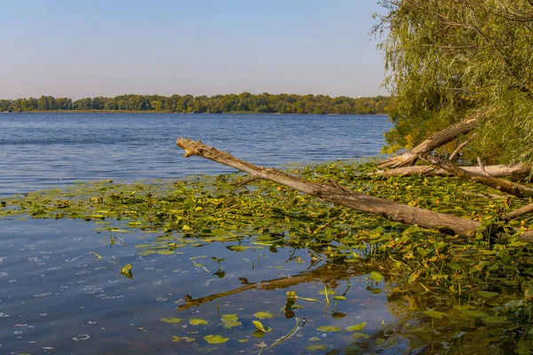 Powodzie w Dnieprze nad Dnieprem — Zdjęcie stockowe