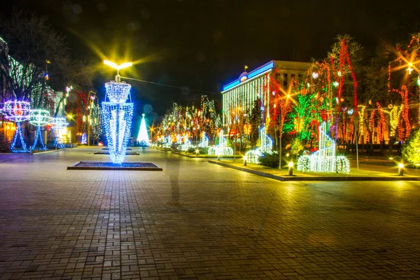 Nocny Park Miejski Oświetlony Święta Miasto Dniepru Ukraina Styczeń 2014 — Zdjęcie stockowe