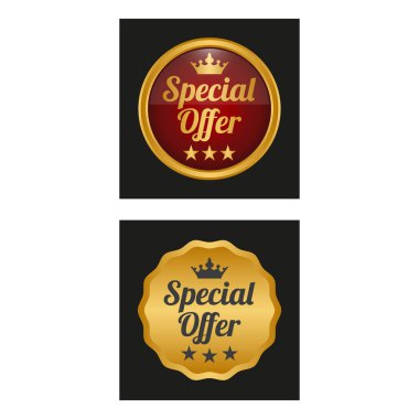 Özel indirim etiketi iki sürümlerinde. Vektör çizim