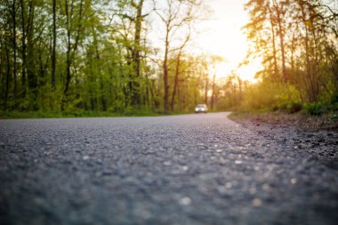 Gün batımı ışık yalnız orman yolda araba araba