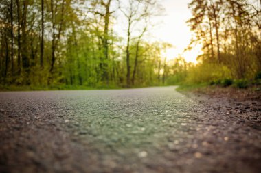 Kırsal ülkede orman yol günbatımı ışığı