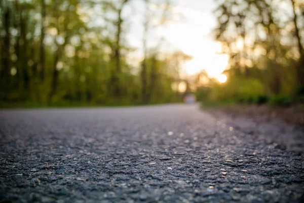 Gün batımı hareketli araba ile curvy orman yolu