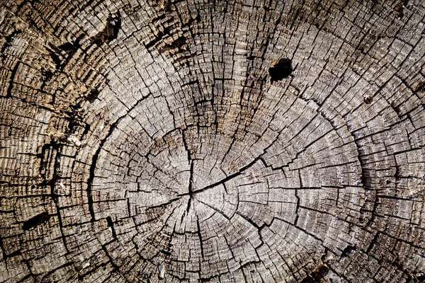 eski ahşap doku arkaplanı