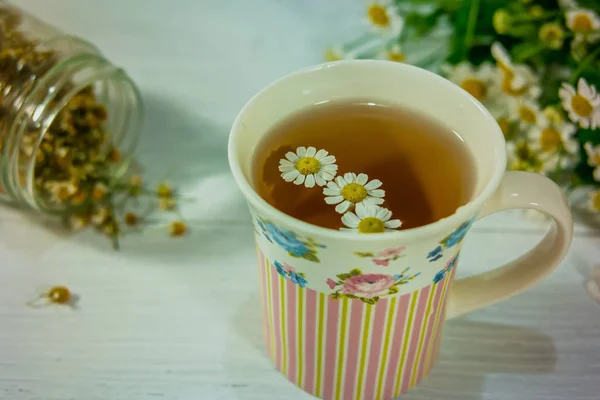 Organiczne Herbaty Ziołowe Rumianek Świeże Kwiaty — Zdjęcie stockowe